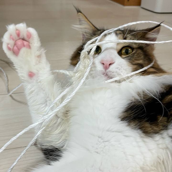 39faa4ec 591e 45a3 82ac e0cbd8600ea1 1648244753836