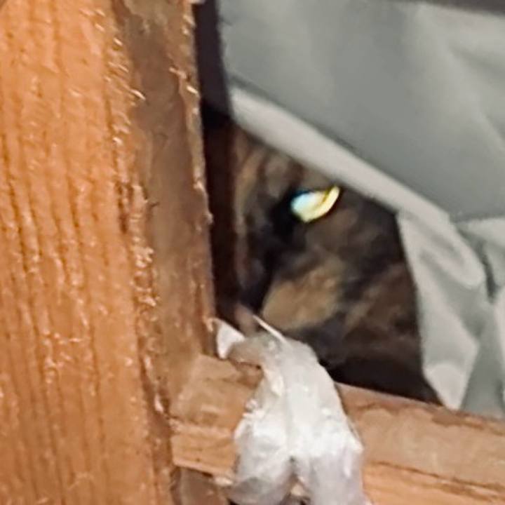 39faaefd 7b23 4907 b5f1 5861b2355dce 1734811247657