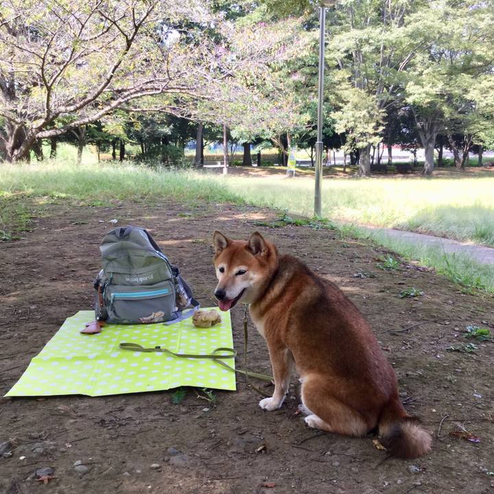 39fab858 c3ca 444b bb6b f7bff92caf2b 1569904758478