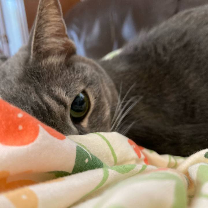 39fac321 b6c7 44b6 8a80 84b1f9683ab0 1664492270709