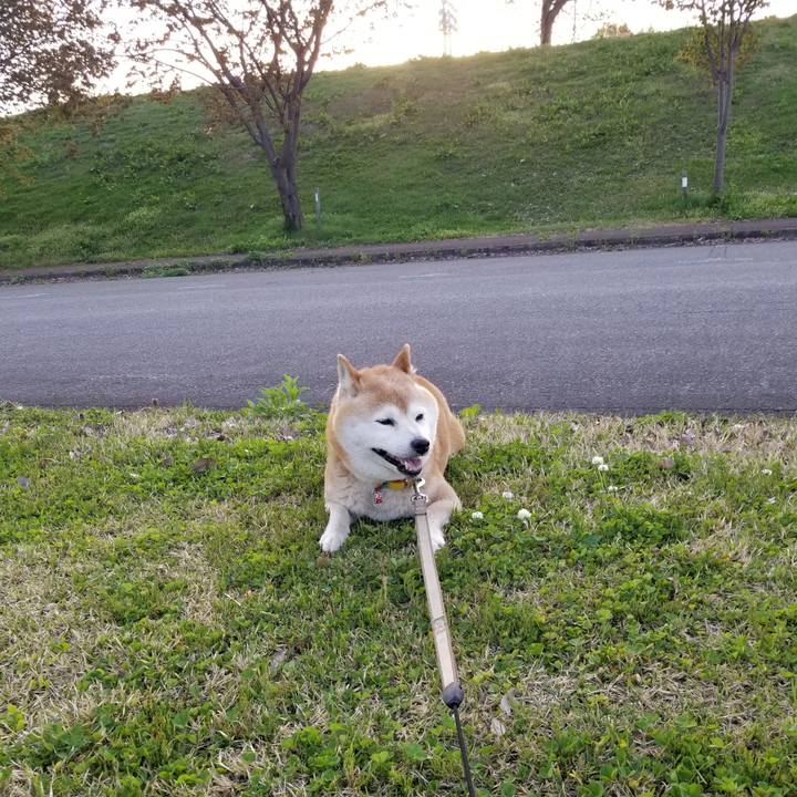 39face6d 2ea6 4f60 88c3 9ff57c6b36b5 1681980818762