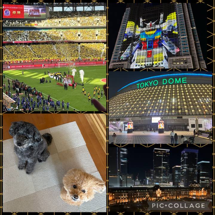 39fadee9 907f 4d66 a6ea 0bc2f932e5d2 1762411771093