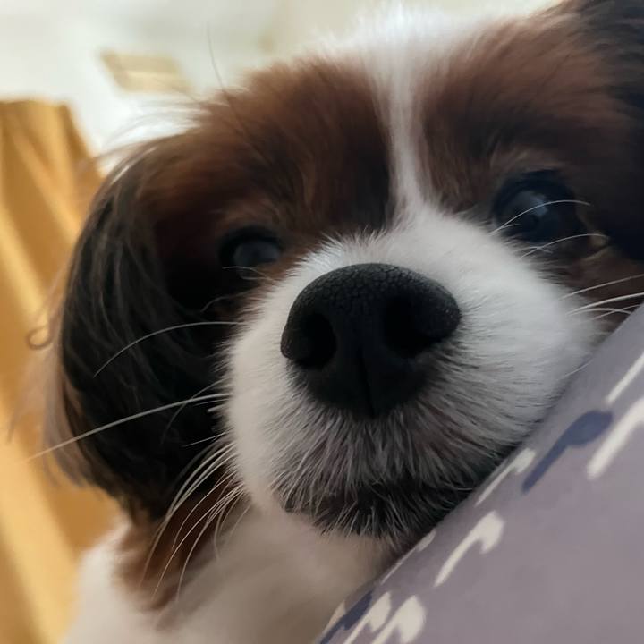 39fae00a d98c 4062 a10c 6b8a615597af 1752972563570