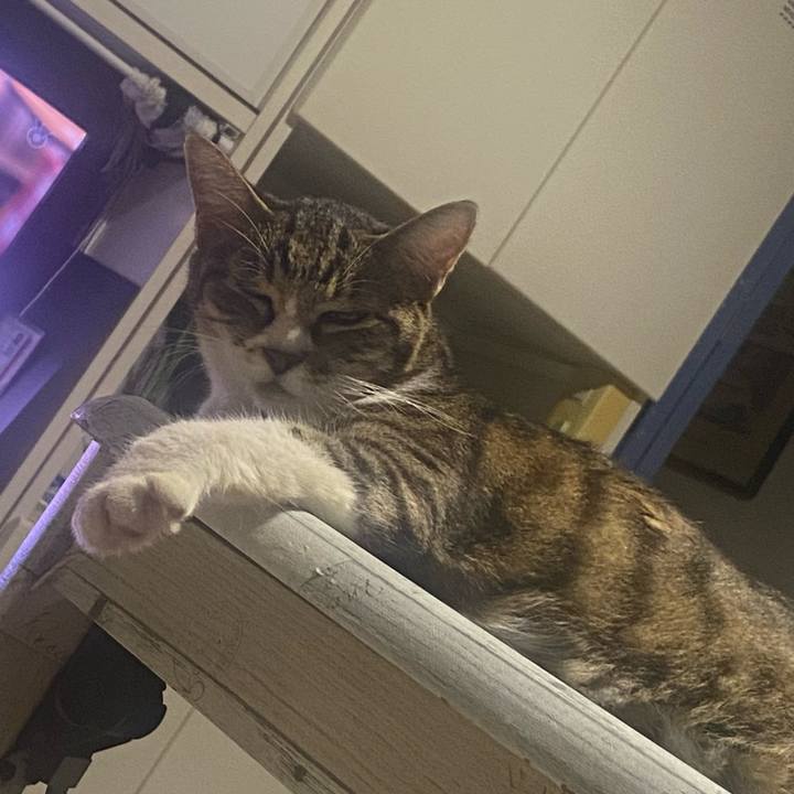 39faf7cb 75fc 4b51 94c4 99d473722ef4 1694868831866