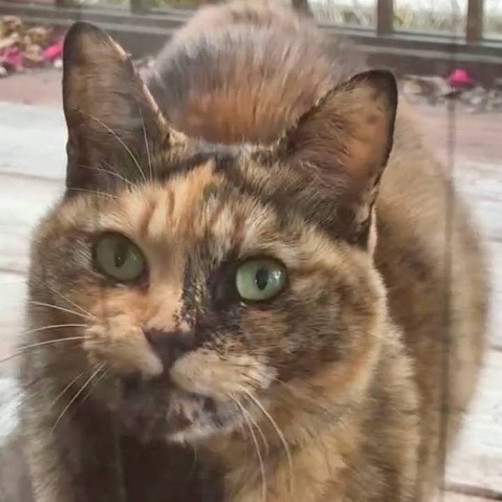 39fb11c5 696c 4496 940e 6af86daa9583 1770259835882