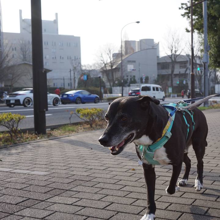 39fb81cc 1062 463c 9b81 bf2e769dd02b 1772238220324