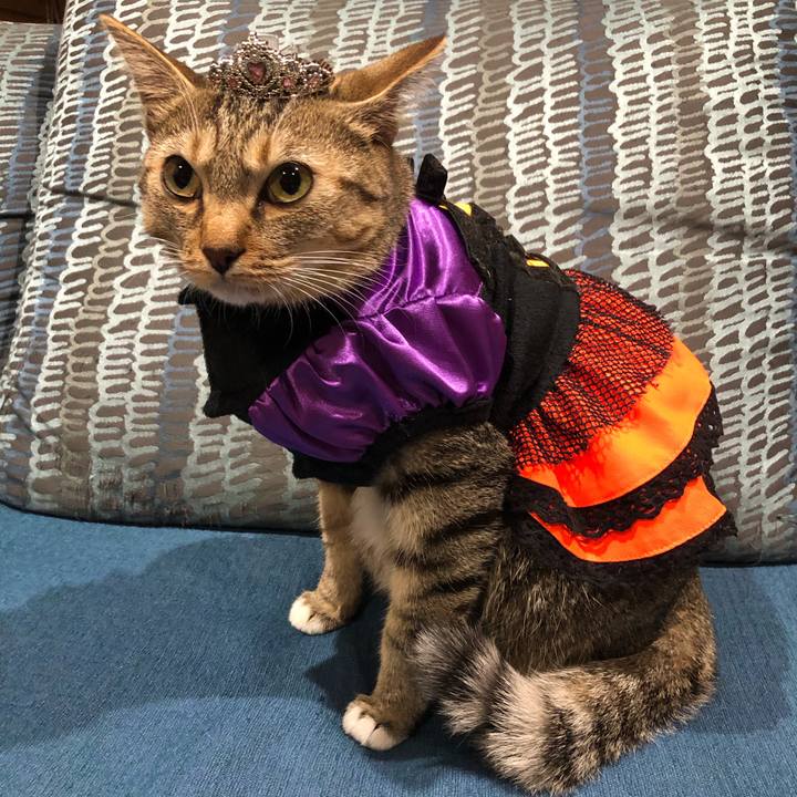 39fbd9af ec00 4d7a 8e0a d9c8e3e54ff7 1635674764527