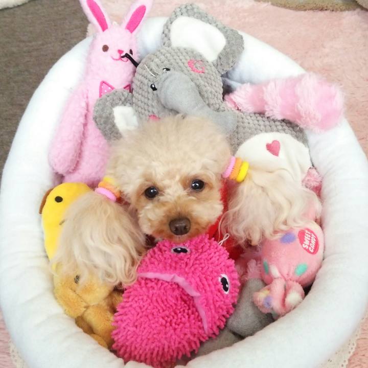 39fbdd4e 665f 49a3 a78a cb4718b8b8cf 1516352550744