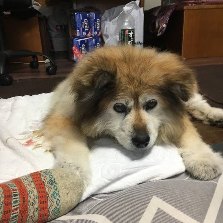 39fbea15 bae8 4d1d bfbe 47d3a4a652e8 1566481004671