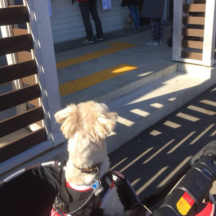 39fbeb02 6c0e 4fd5 86b4 d4f1cc1b63f6 1511092719980