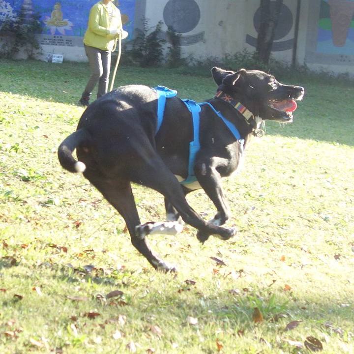 39fbfabf a0b8 4388 b0a2 f24c307ddd8f 1603931930821