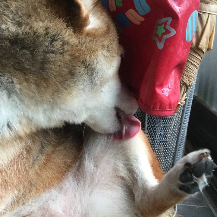 39fc0481 6fca 47ca b411 f5290db9424d 1628906344926