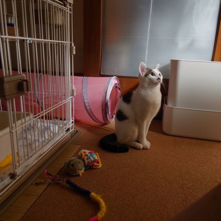 39fc06be 82f9 4171 b088 bbb3d22aa5a5 1694837033985