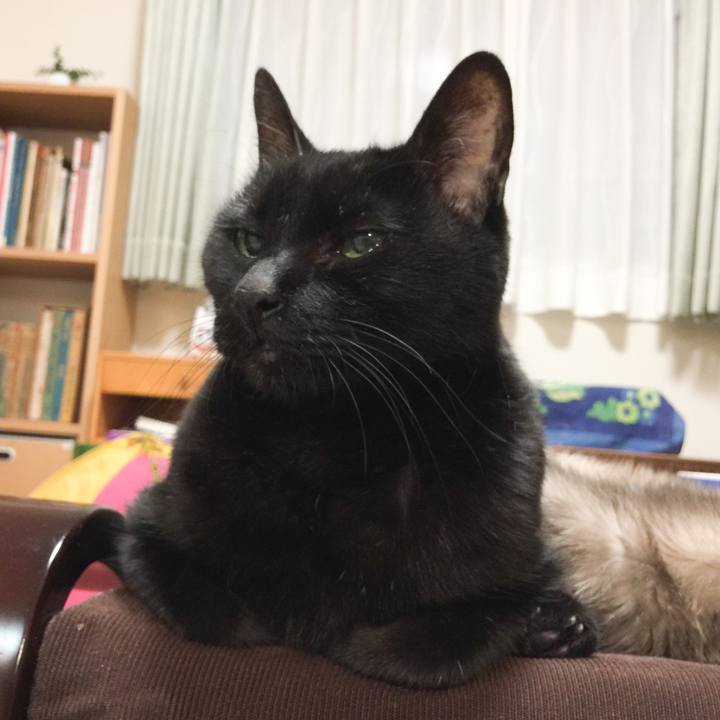 39fc2a62 f081 4e77 8a54 a1f1e5cea690 1522155603982