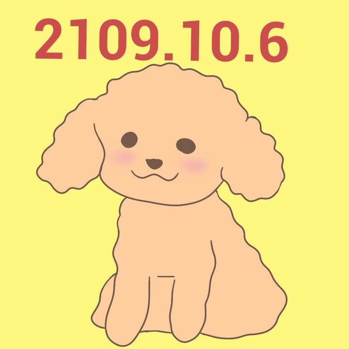 39fc7c47 39a8 4de0 bb94 e79c755e7bcb 1570365492785