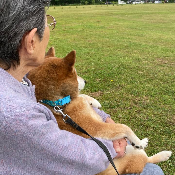 39fca2f4 ec34 47ac acd5 480d0cb96c4a 1684046923626