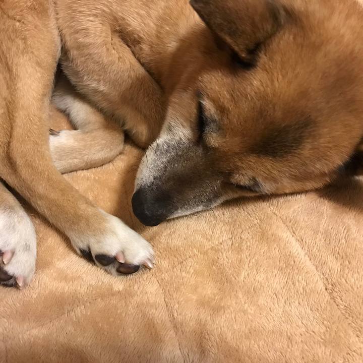 39fcb8db 3481 41d7 aef7 6f8aa2f30841 1519398298181