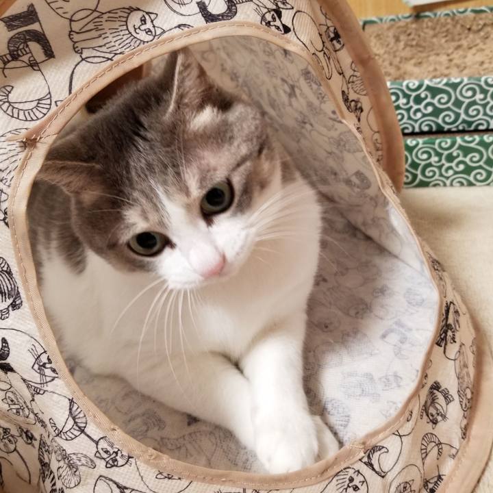 39fcc6e5 a3fd 4003 87df c20df5c443ff 1606488080664