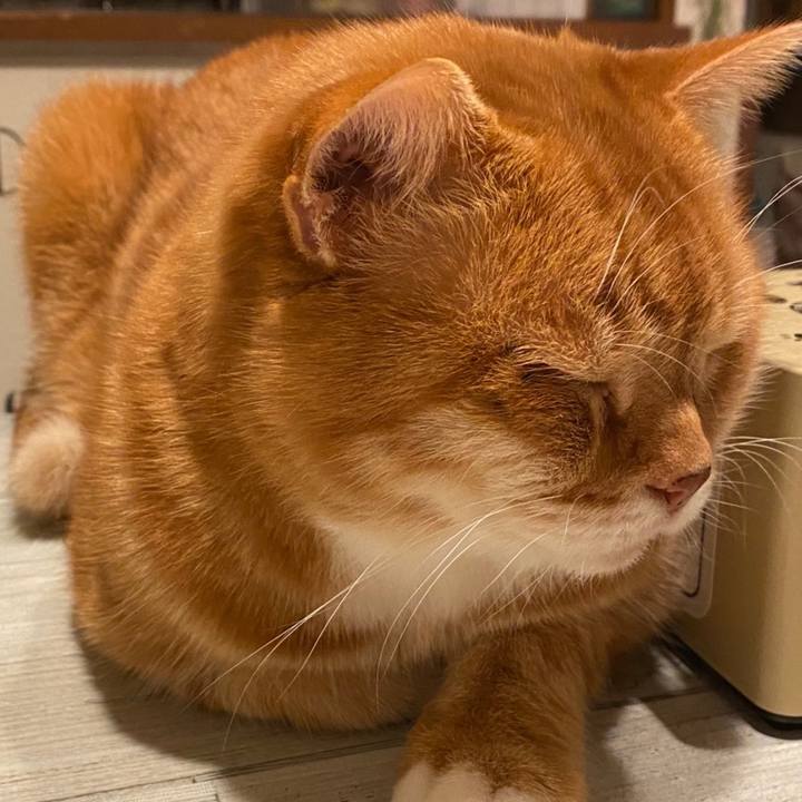 39fcfcc7 5753 49a3 a00f bf988633b92f 1607223285209