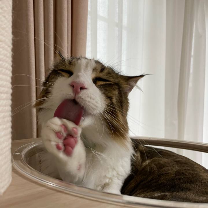 39fcfd42 c9e8 4e99 aa42 aab4092ff393 1659305091229