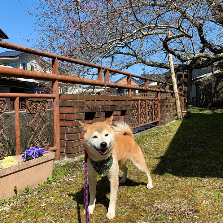 39fd1167 3095 4a57 952d 25cf0c58e802 1679397445768