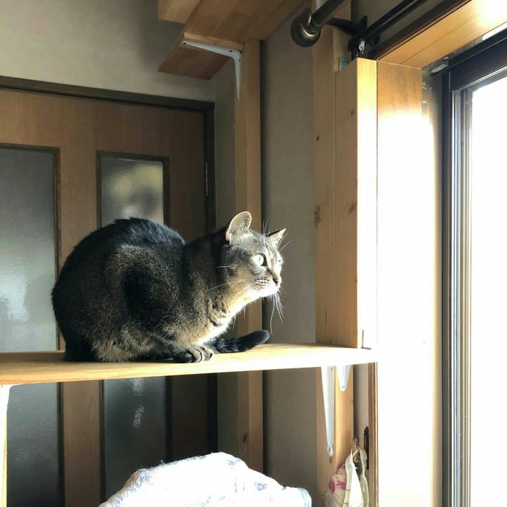 39fd119a 81a5 411d 9019 f111260b81b3 1609205030308