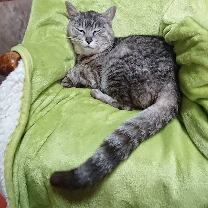 39fd18c4 9fe3 4126 824f 35bf3ae7849a 1588142559475