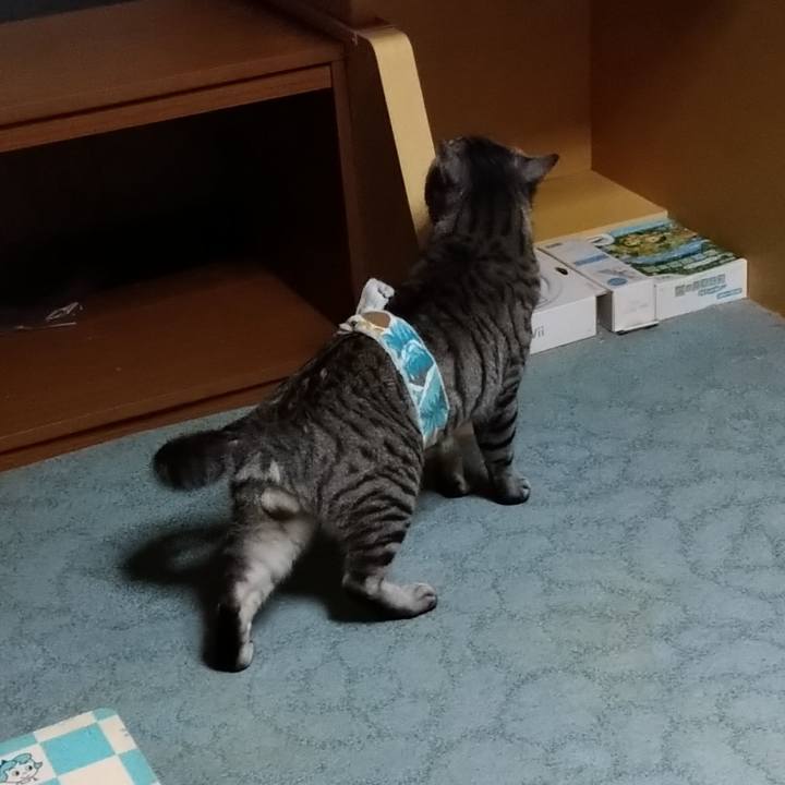 39fd2929 1ad4 4248 9ee1 110c79d84e17 1674652516584