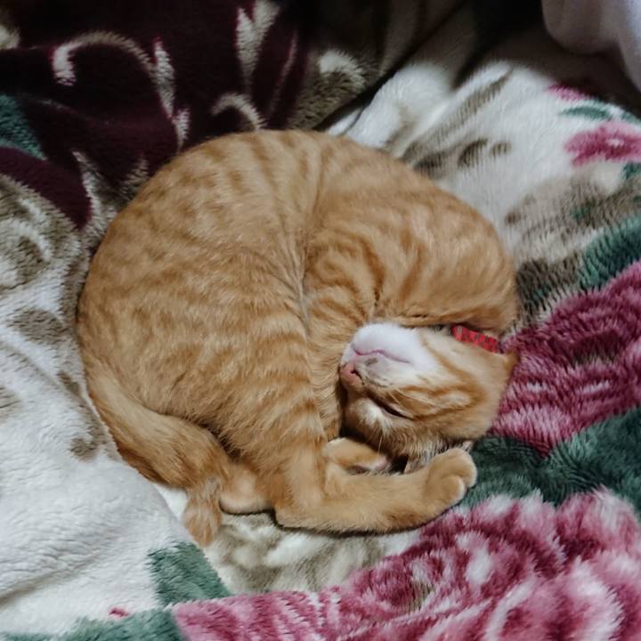 39fd4813 5c4b 4925 b472 265b90ea1962 1633869342094