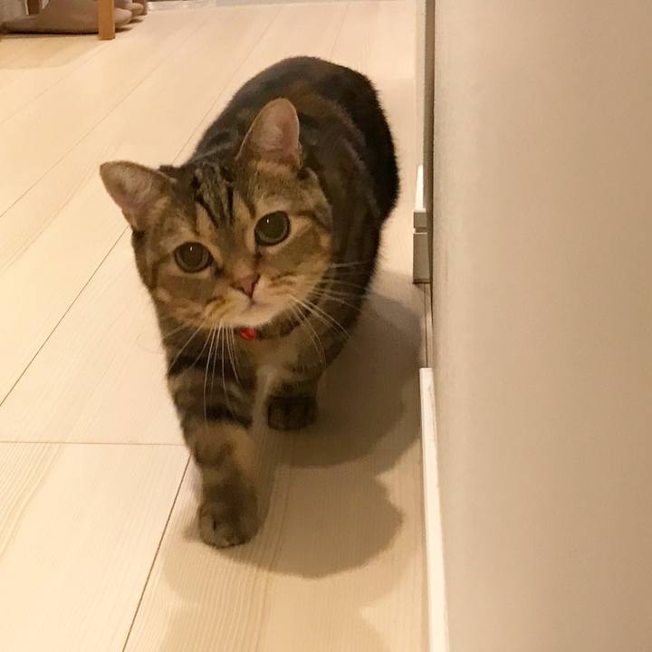 39fd5afd 8825 41f5 80f1 84b61c02e0be 1540300023238