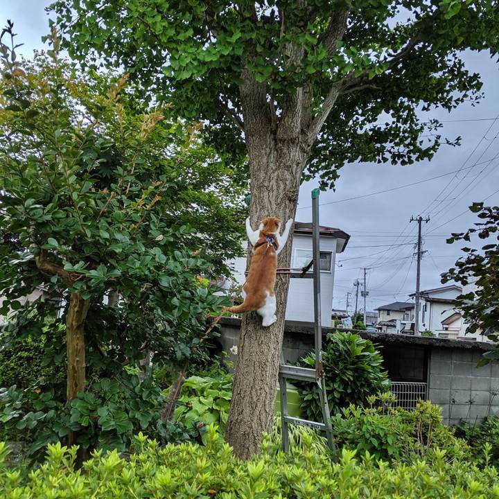 39fd617d 49f9 42fb a404 c6a3610e3c0f 1565832843755