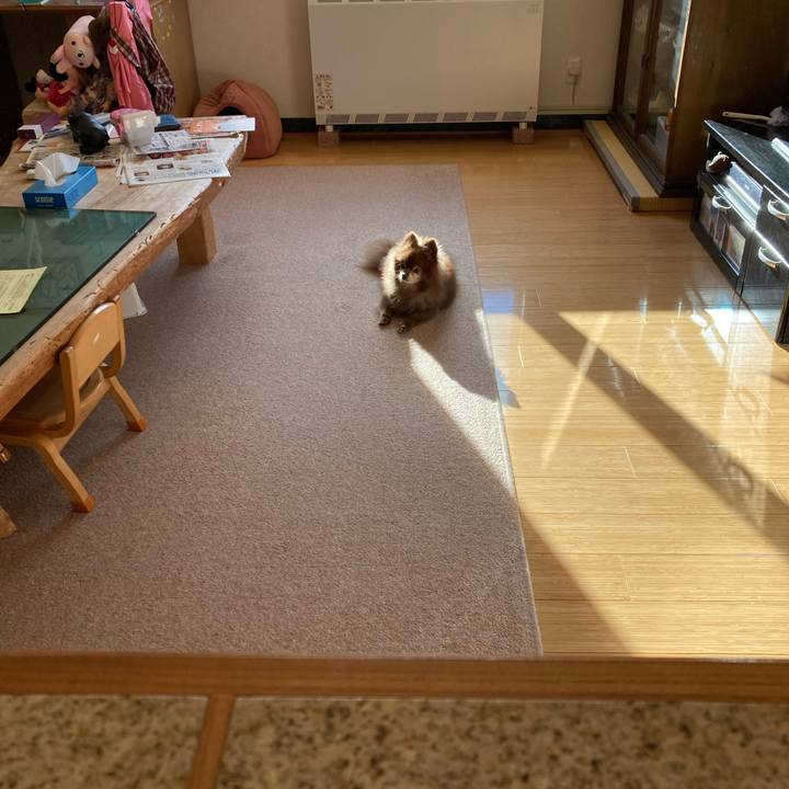 39fd8090 efc6 45ef 96c8 f8b30adb8104 1666999920502