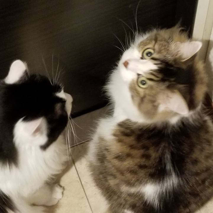 39fd8108 5a69 4c23 8c6b cc31084db74a 1565567650408