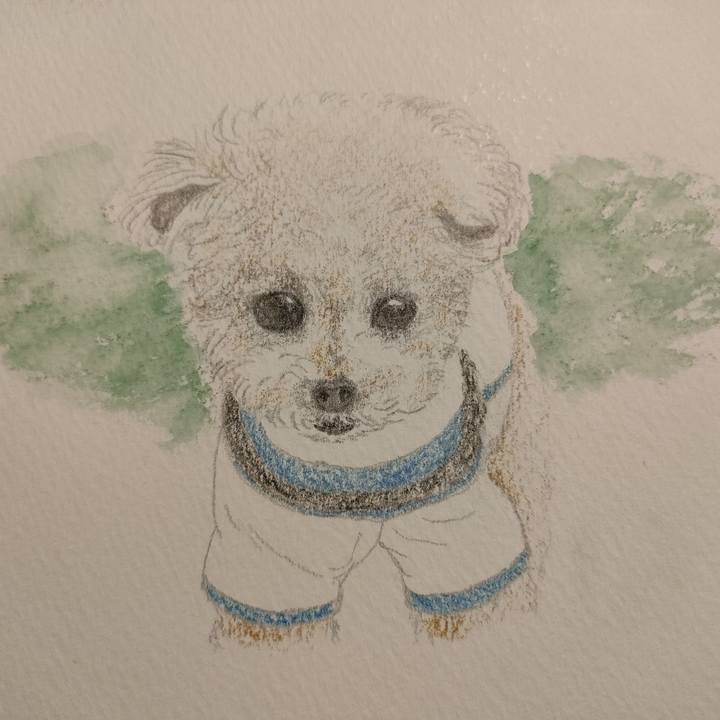 39fd98e9 f536 41cf bb56 092a88b534bc 1746849755847