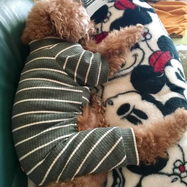 39fdd064 1a41 4cbd ac1e 14086fc937a7 1537804927968