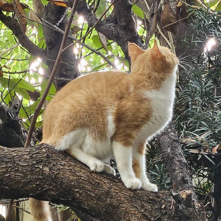 39fdd5e0 9720 4970 a2f8 15a1ef4b77db 1730000037803