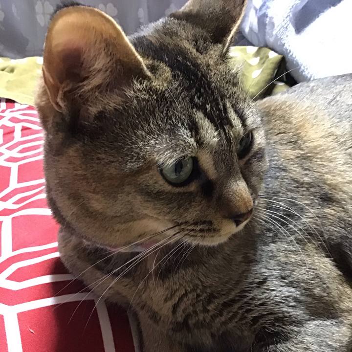 39fe2adc 52fa 4e19 8a4c f72699d19591 1616231851672