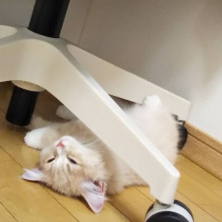 39fe6e67 3f49 42f0 9b6c 9682cb677943 1598107289986