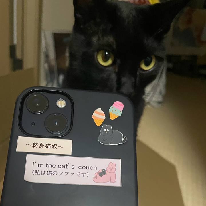 39fe990d c4de 4e9c 8d06 db98c4473148 1753457294049