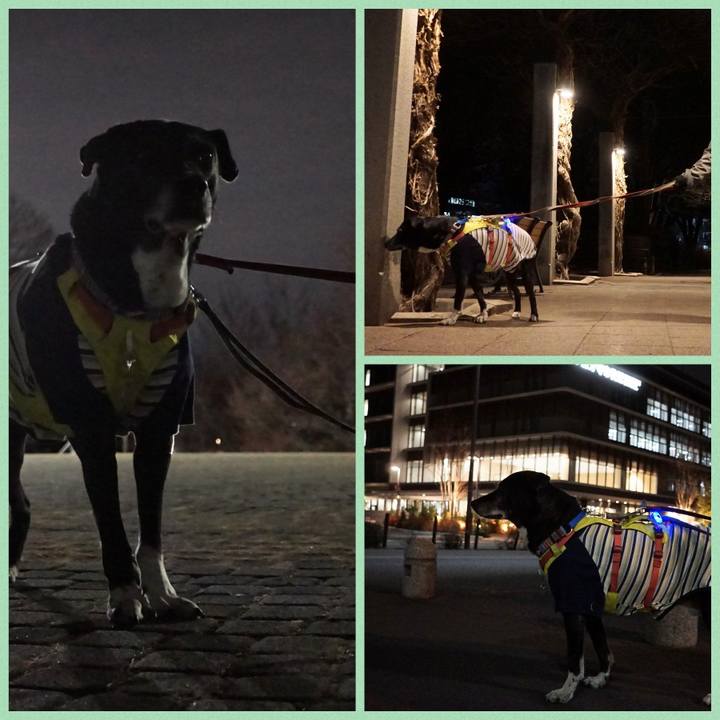 39fe9dd1 d459 4bb9 b7ab 172804c071d8 1769599243168