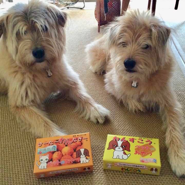 39fec16e 3867 4f4a 97f3 5827f72c1836 1565280939317