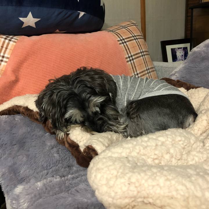 39fecee8 fa1c 4ced 907d 76db5be3fa28 1619613975174