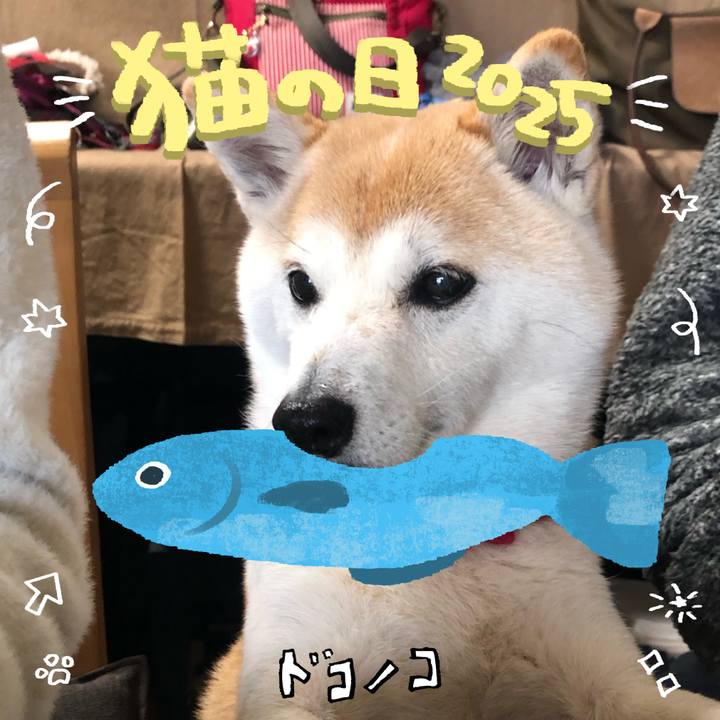 39fed8c2 e84e 43b3 b8dc 67c285f134fb 1740202993825