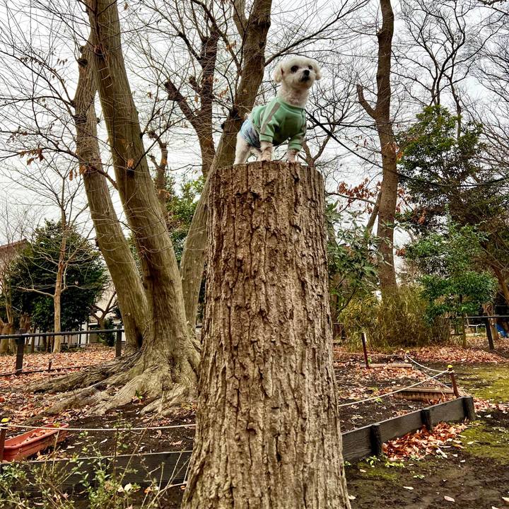 39fef002 a33a 4408 be60 ec061e9dffb6 1674030889791