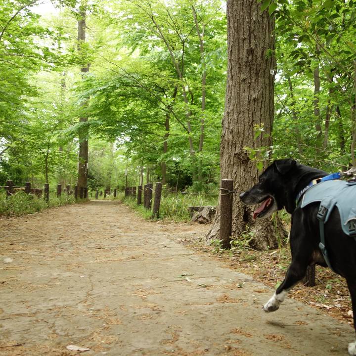 39ff16cd 3caa 4a14 a0fb b64f71667253 1713662491856