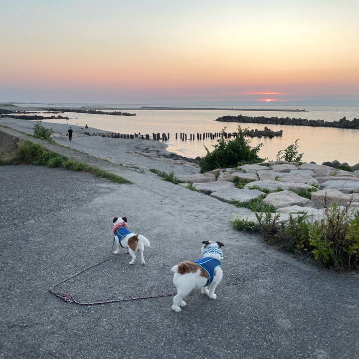 39ff2be3 8076 4e61 959c 27e1aedba5af 1756720713320