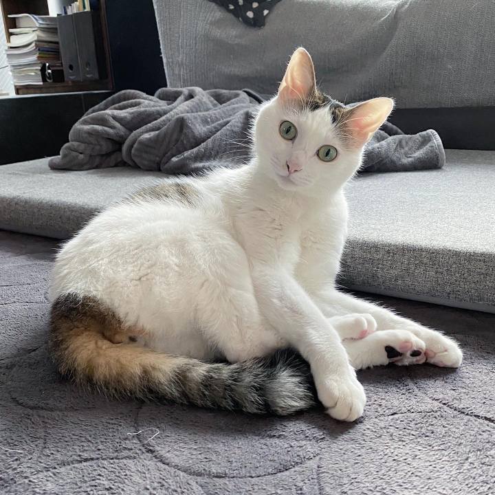 39ff4254 085f 4938 a5f9 25becca54427 1576639357505