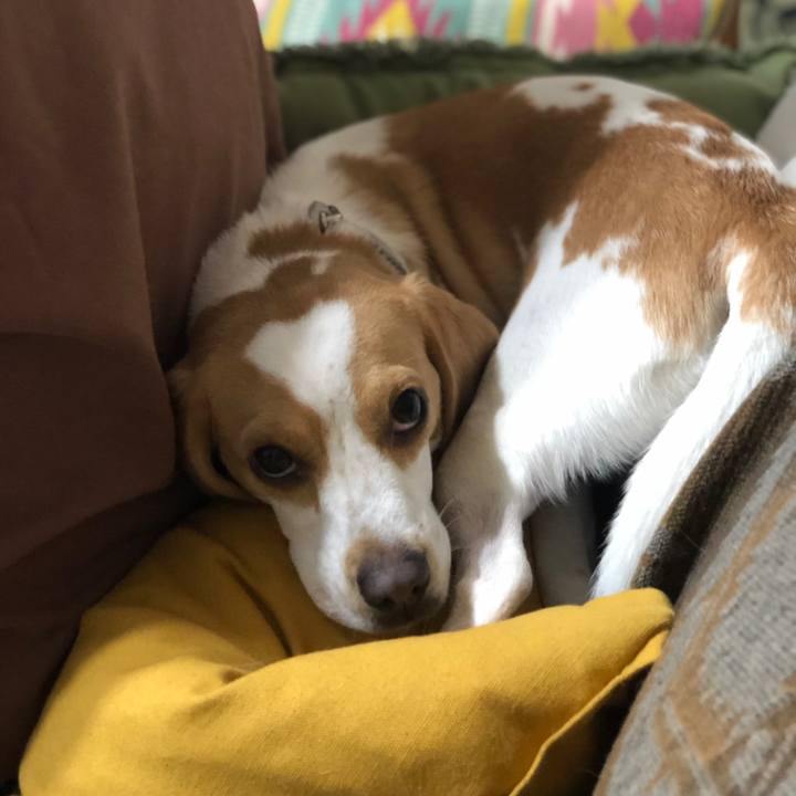 39ff54c2 9f1c 43c8 bd4b 9763c3d163ec 1571314506039