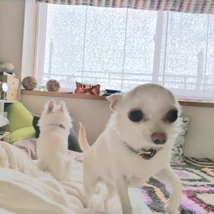 39ff8d6c db21 4781 9585 7828b942b6f9 1748036194863