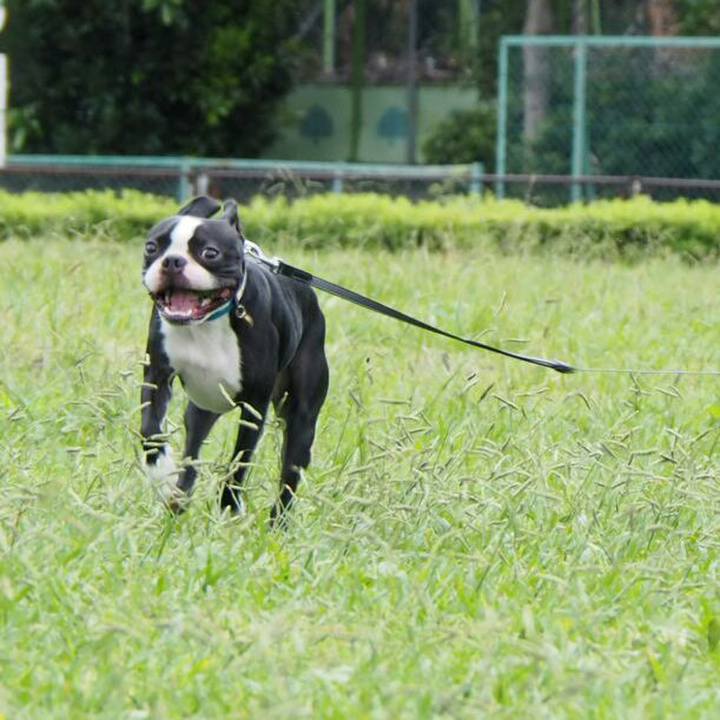 39ffab22 a068 4045 93b8 090cfb6ee640 1538963157811